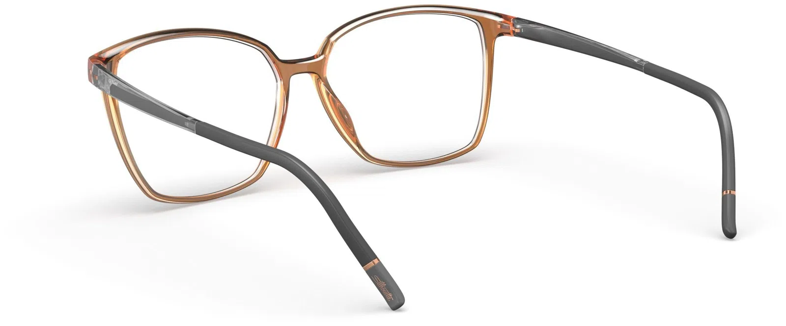 Silhouette Vivid Sky FR 1613 Eyeglasses - view 27